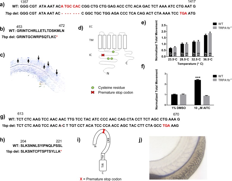 Figure 2—figure supplement 1.