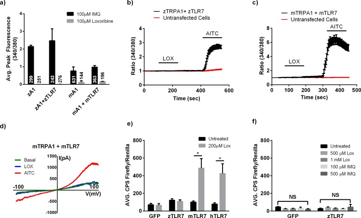 Figure 3—figure supplement 2.