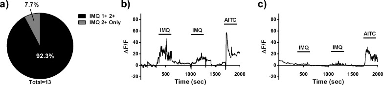 Figure 4—figure supplement 2.