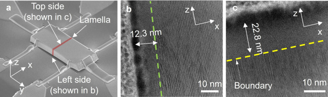 Fig. 10