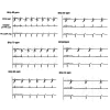 Supplemental Figure 2