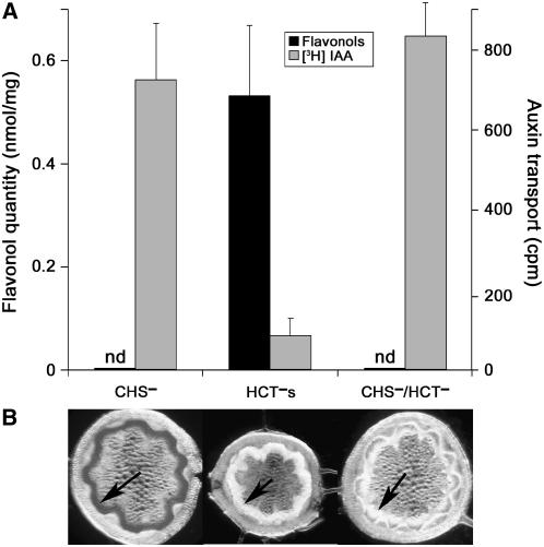 Figure 10.