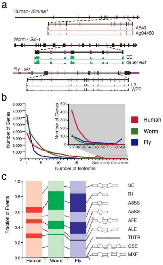 Fig ED4