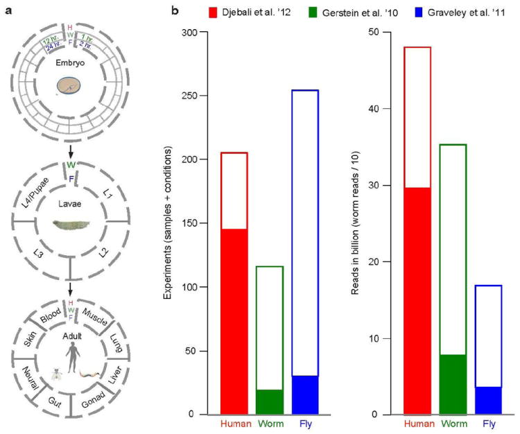 Fig ED1