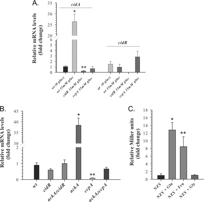 FIG 3