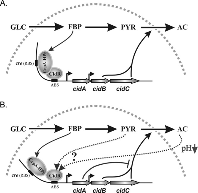 FIG 7