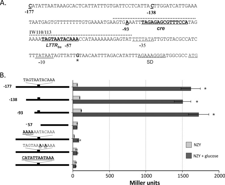 FIG 1