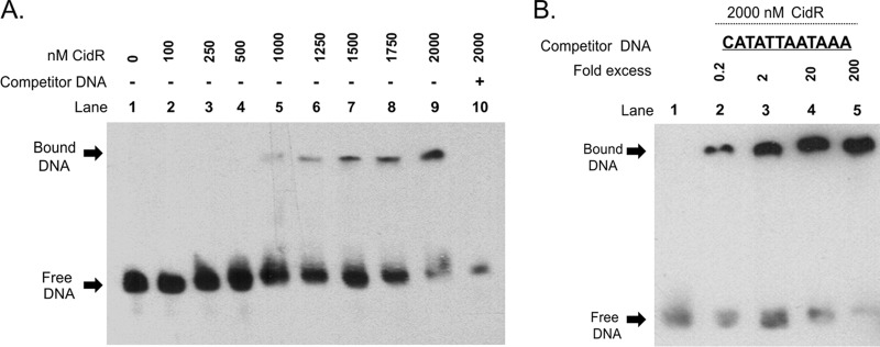 FIG 2