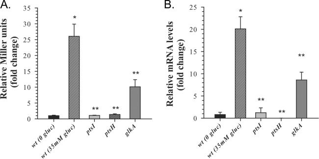 FIG 6