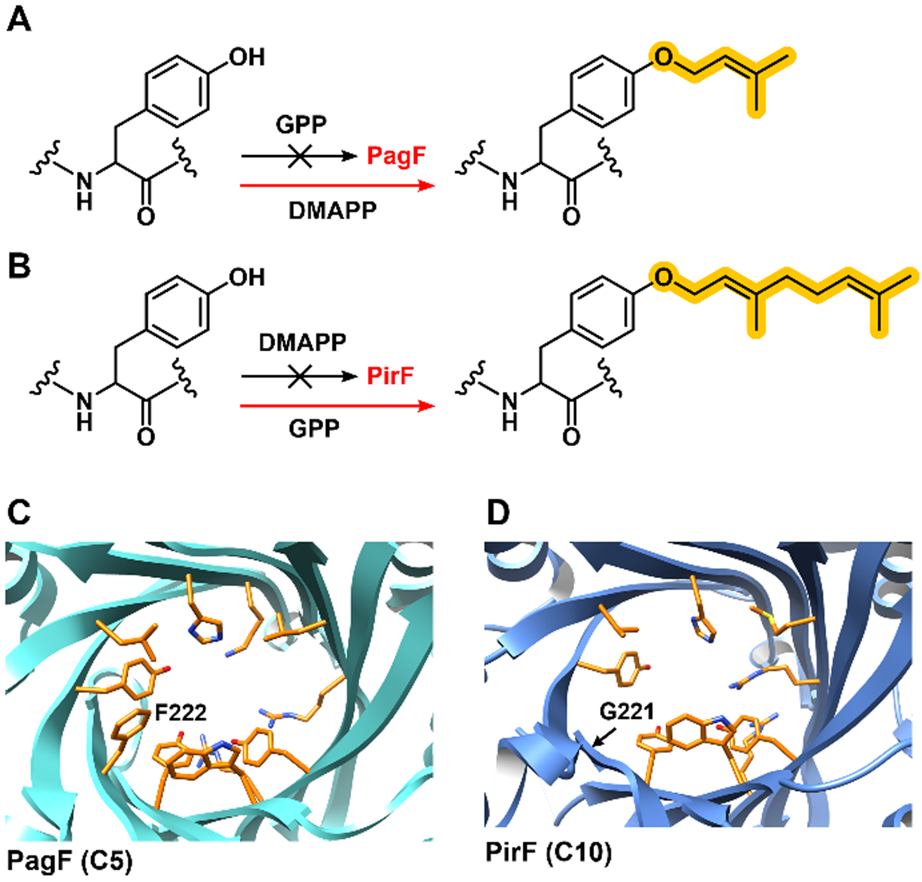 Figure 6.