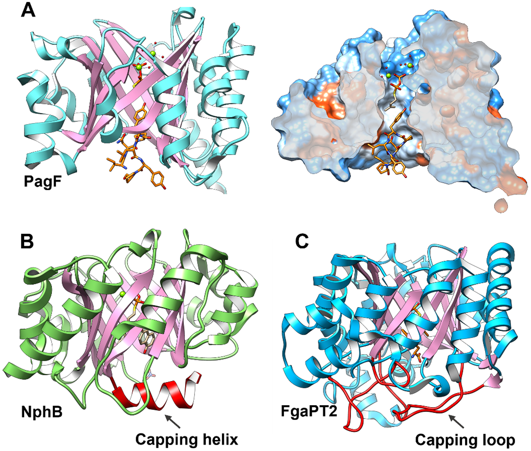 Figure 5.