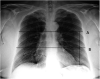 Fig. 1.