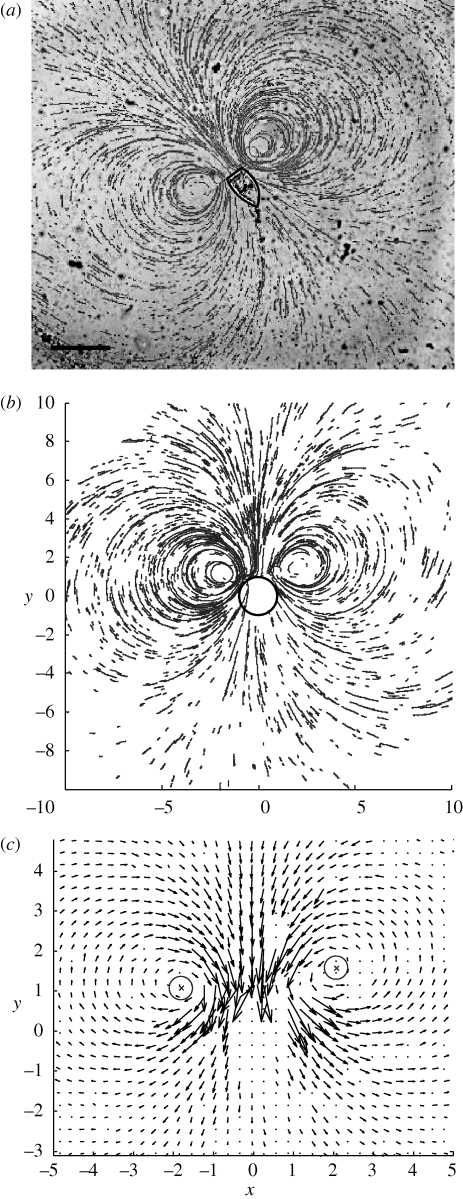 Figure 5.