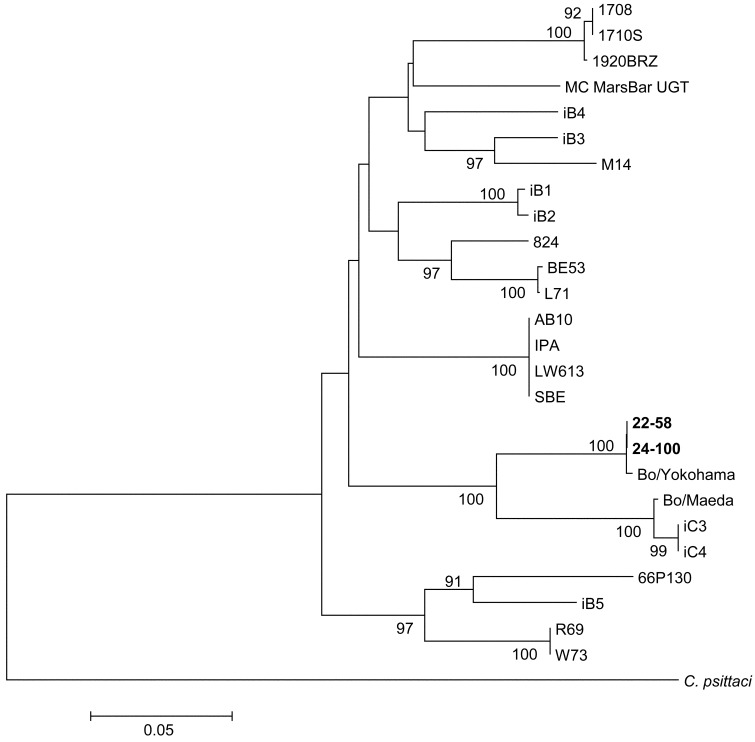 Fig. 2.