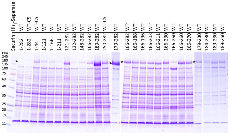 Extended Data Fig. 9