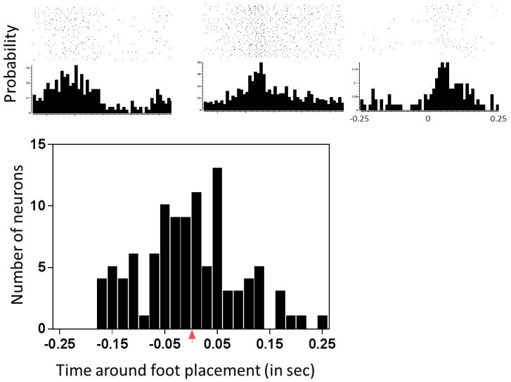 Figure 5—figure supplement 1.