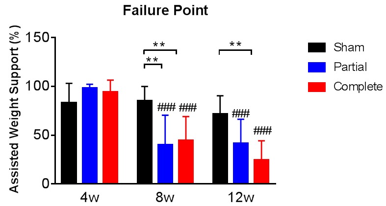 Figure 1—figure supplement 1.