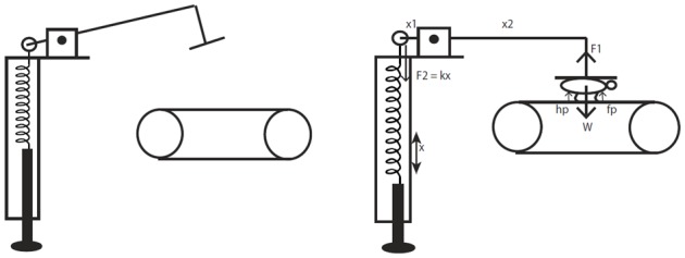 Figure 1—figure supplement 2.