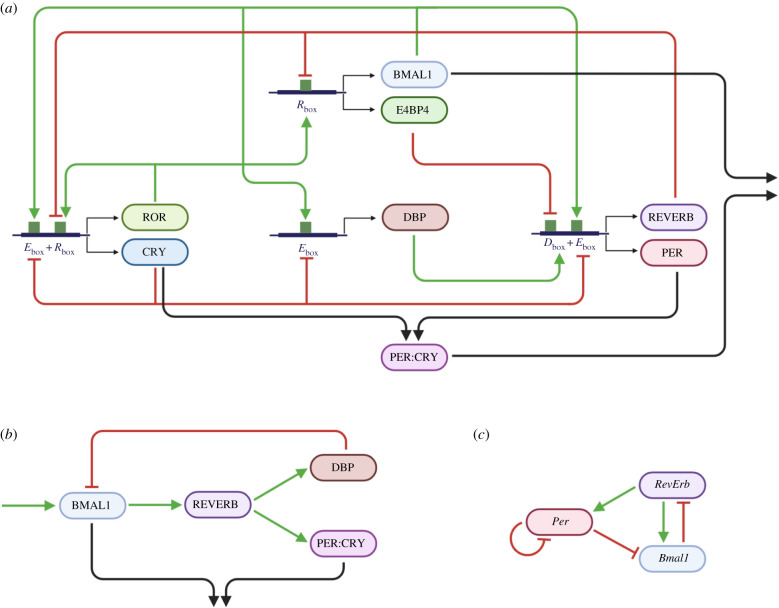 Figure 2.