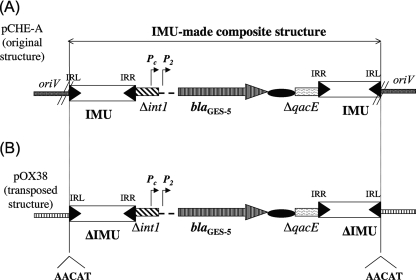 FIG. 2.