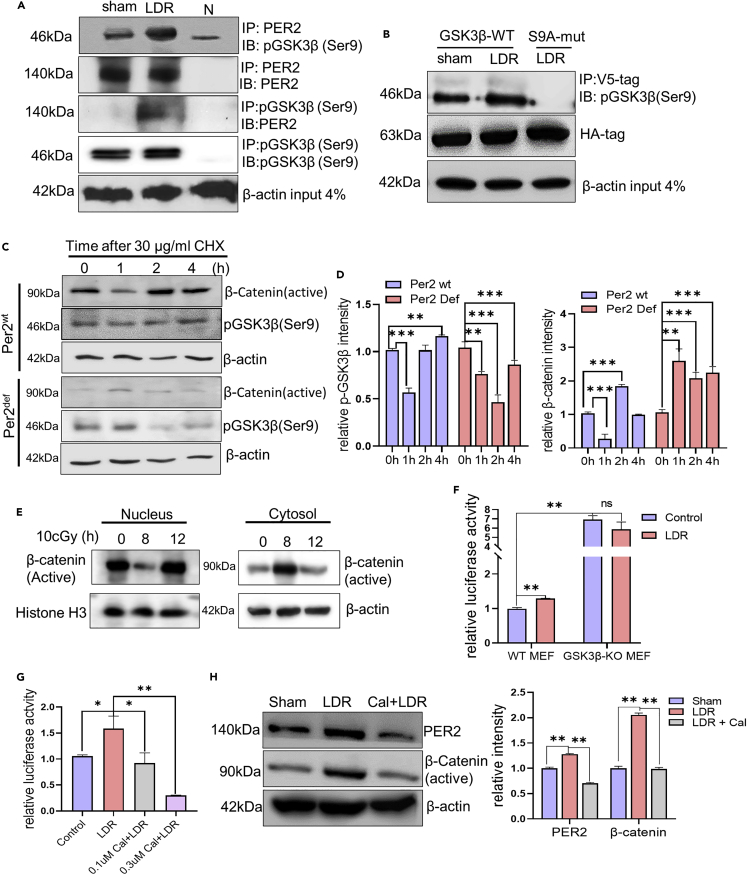 Figure 6