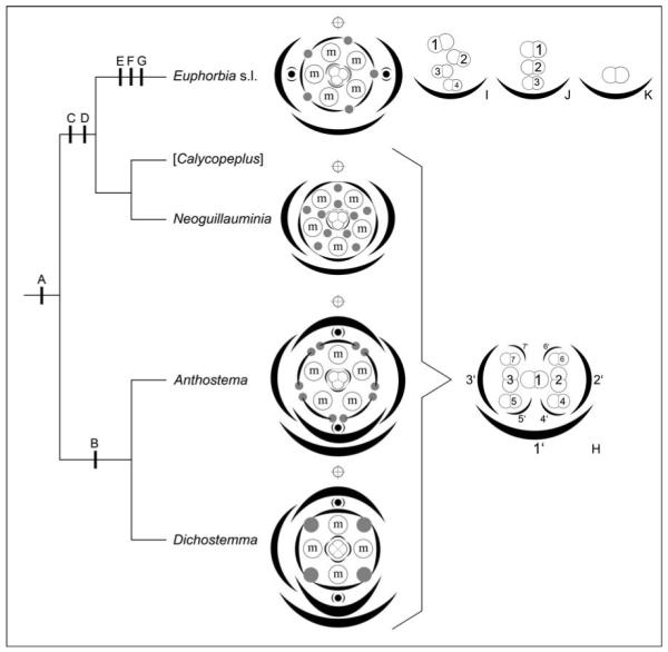 Fig. 9