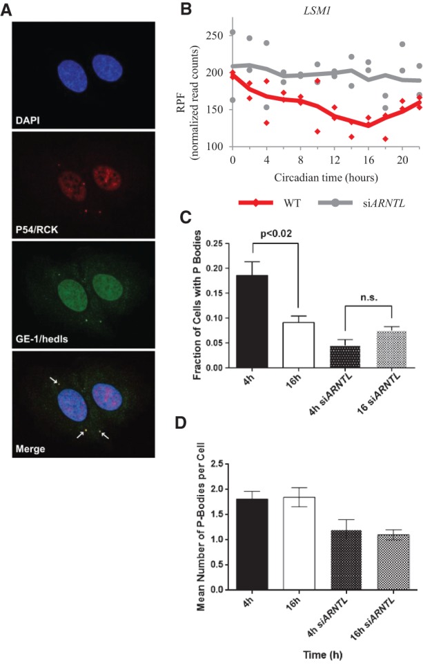 Figure 6.