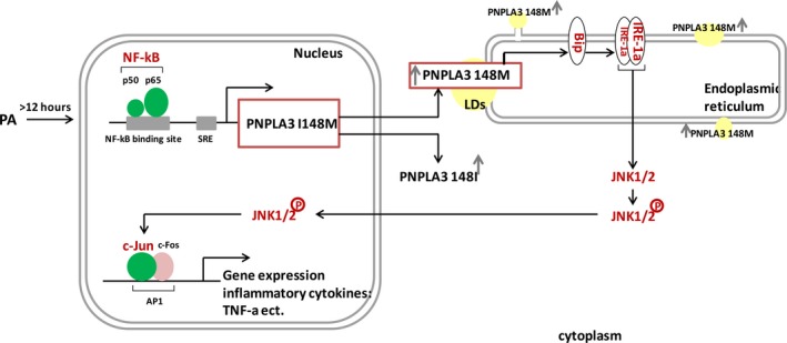 Figure 7