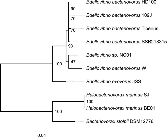 Fig. 2.