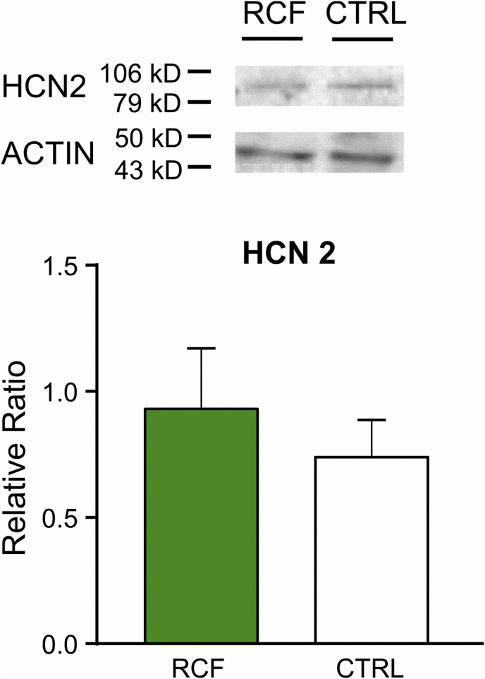 Supplementary Fig. 3