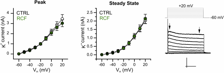 Supplementary Fig. 2