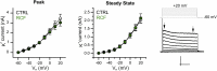Supplementary Fig. 2