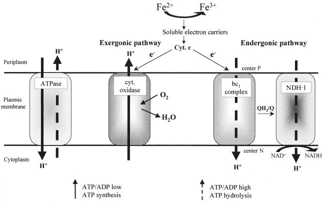 FIG. 4