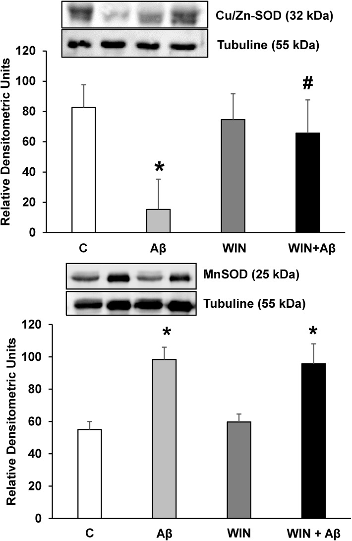 Fig 6