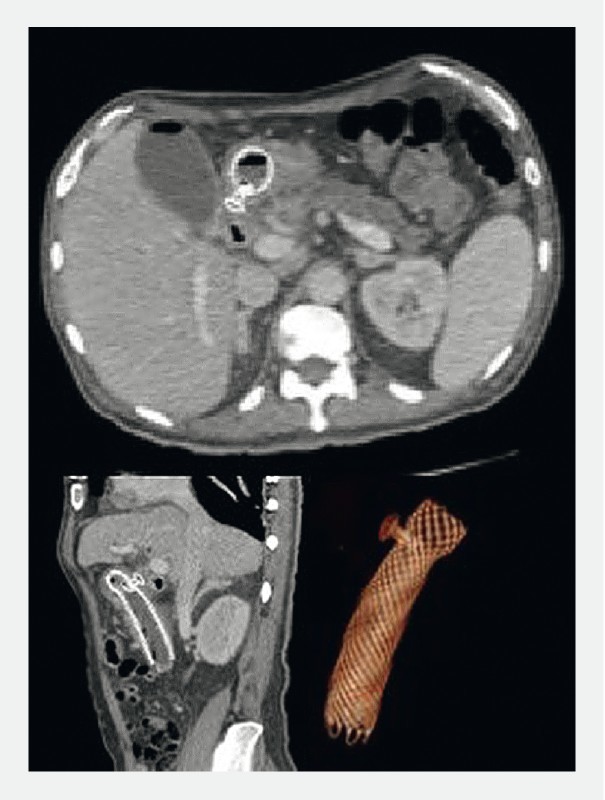 Fig. 5 