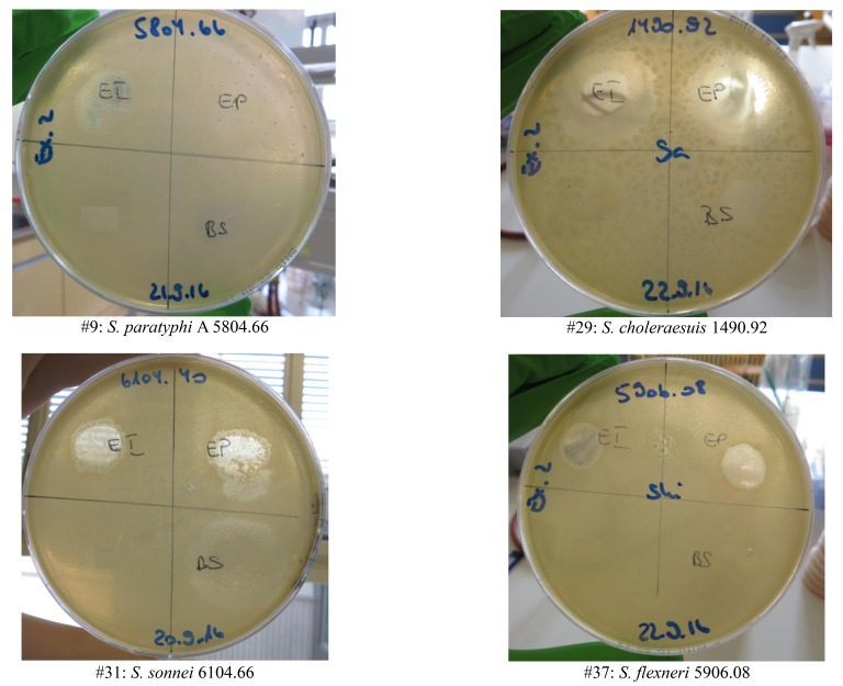 Supplementary Figure 1.