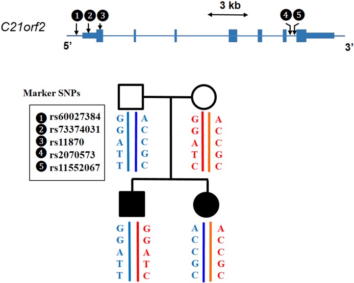 Fig 3