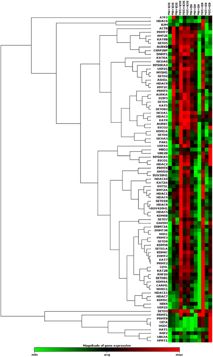 Fig 2