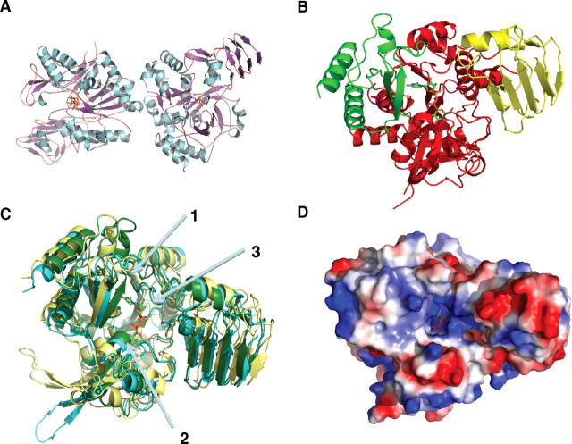 Fig. 6