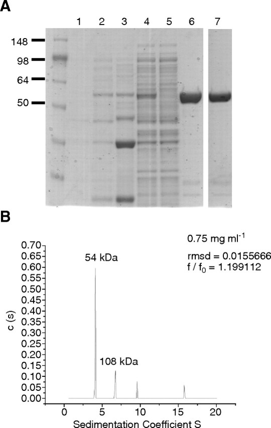 Fig. 3