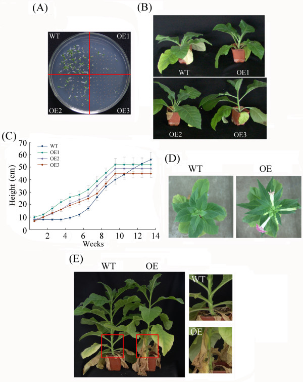 Figure 10