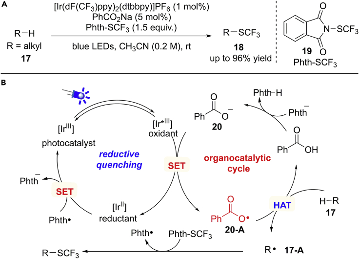 Scheme 16