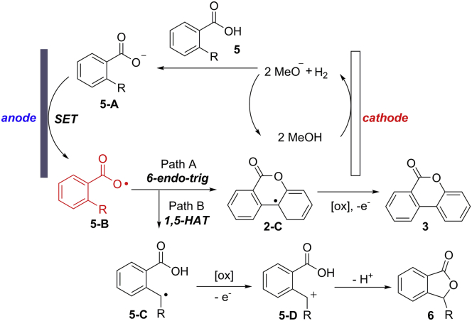 Scheme 8