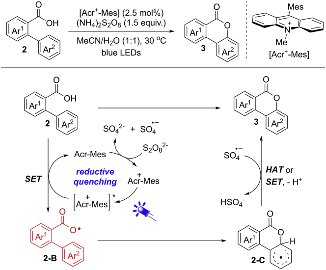 Scheme 6