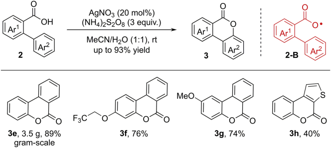 Scheme 5