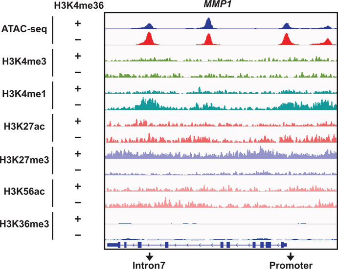 Extended Data Fig. 8