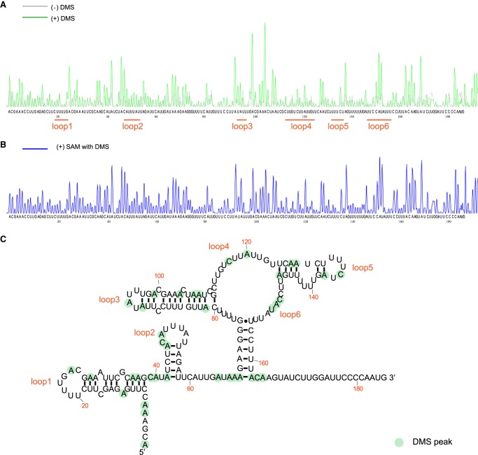 FIGURE 4.