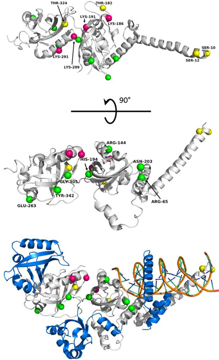 FIGURE 4