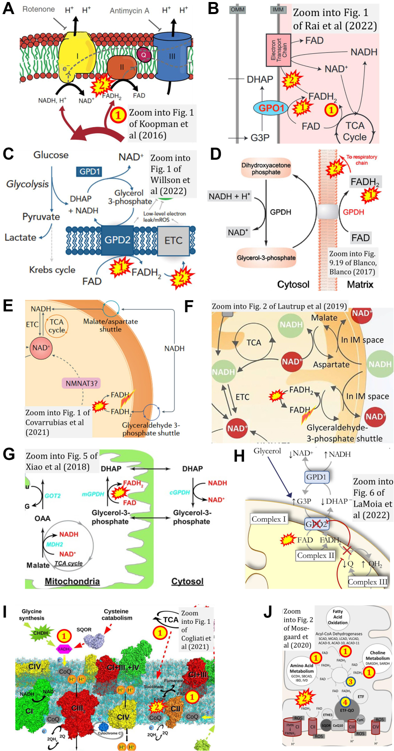 Figure 6