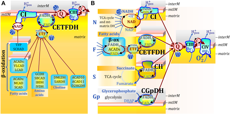 Figure 4